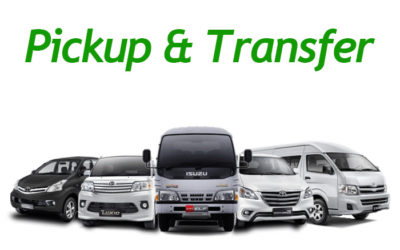 Pick up / Hotel Transfers